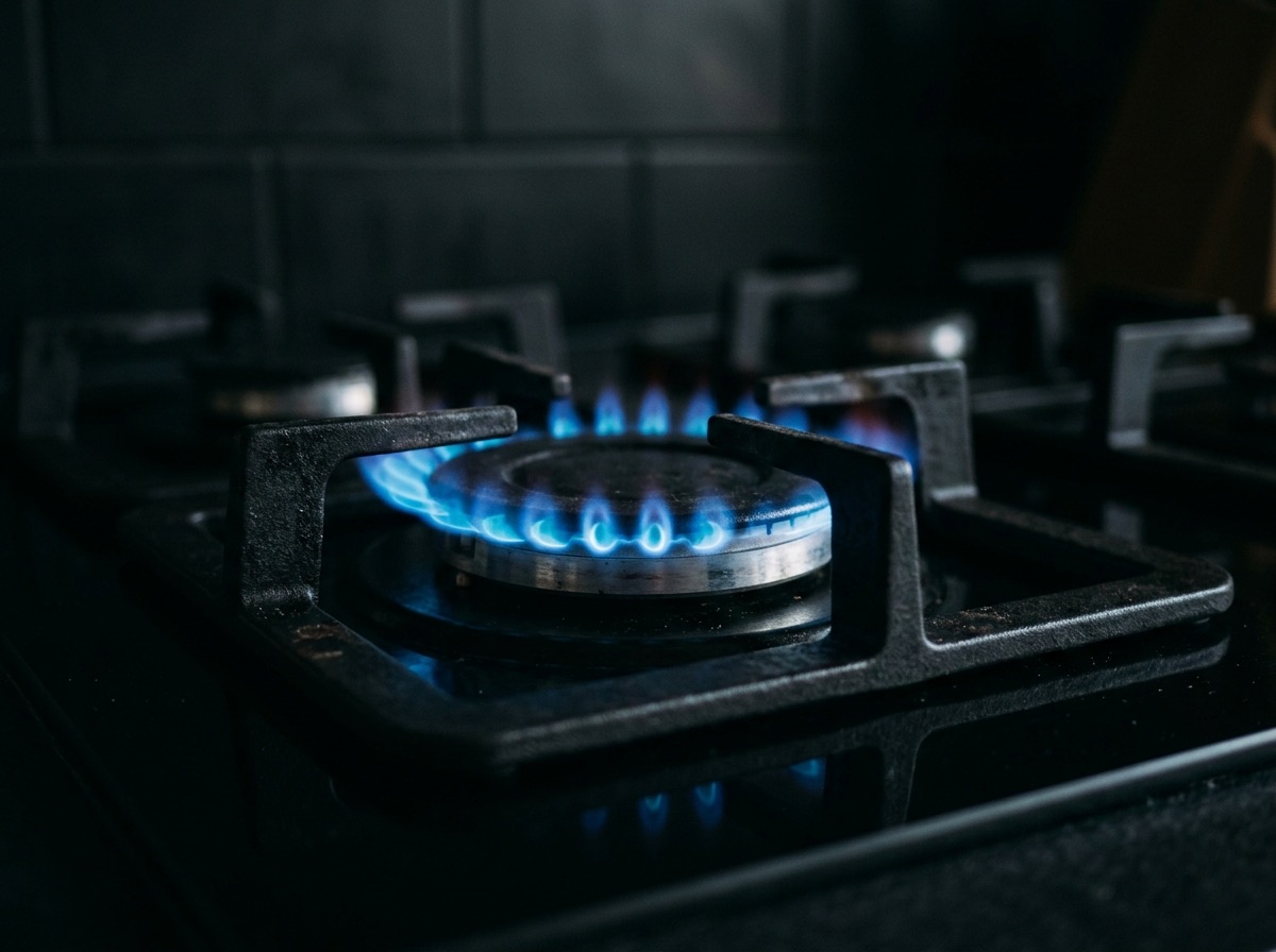 Gas cooktop burner alight with a ring of blue flame